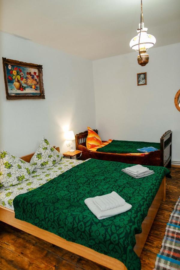 Casa Pe Valea Hartibaciului Guest House Barcut Екстериор снимка