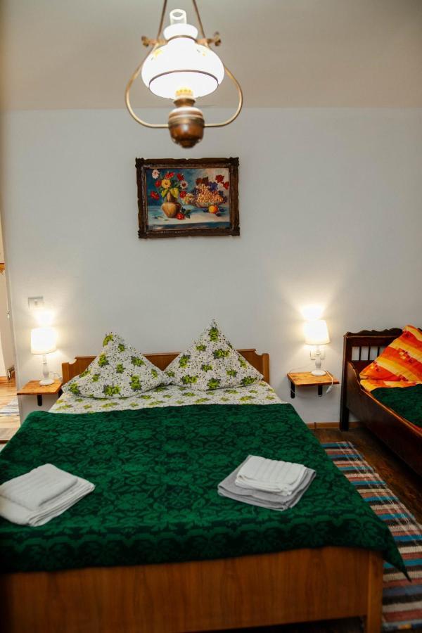 Casa Pe Valea Hartibaciului Guest House Barcut Екстериор снимка