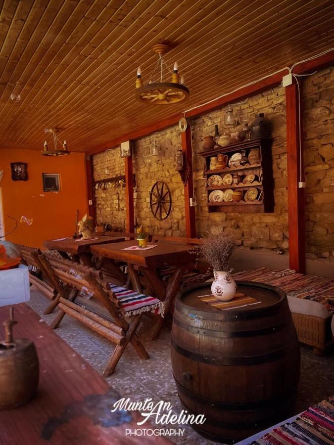 Casa Pe Valea Hartibaciului Guest House Barcut Екстериор снимка