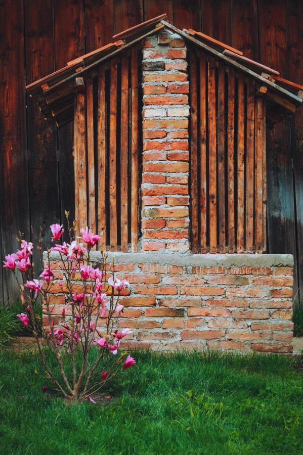 Casa Pe Valea Hartibaciului Guest House Barcut Екстериор снимка
