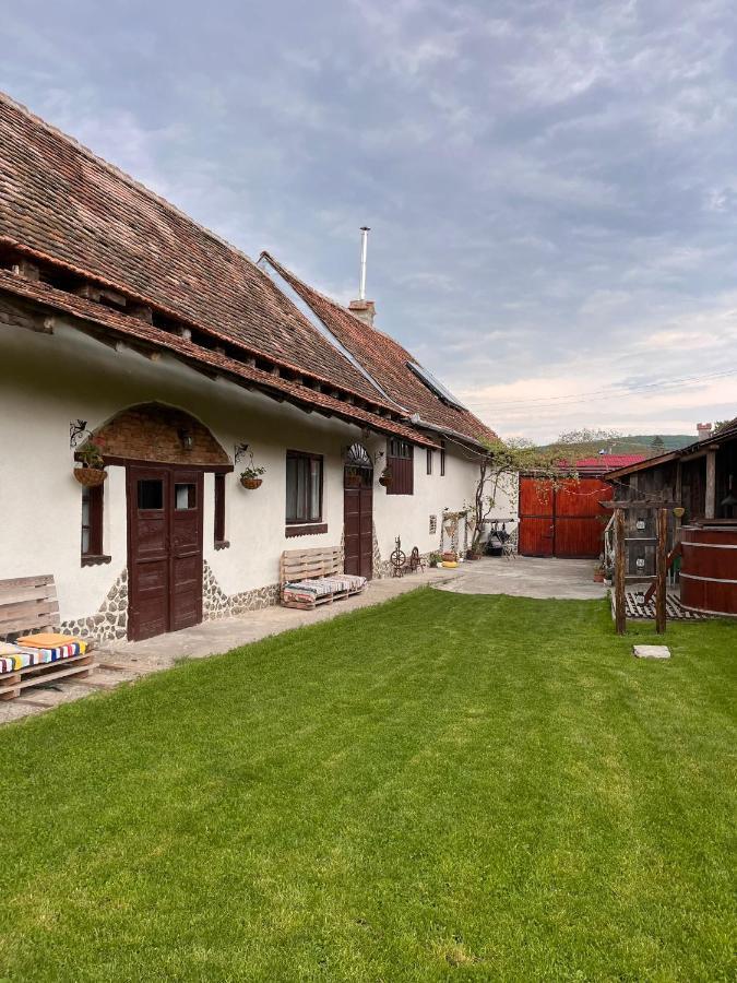 Casa Pe Valea Hartibaciului Guest House Barcut Екстериор снимка