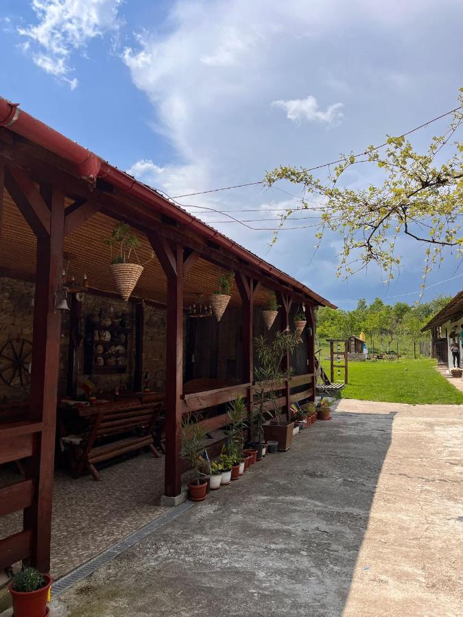 Casa Pe Valea Hartibaciului Guest House Barcut Екстериор снимка