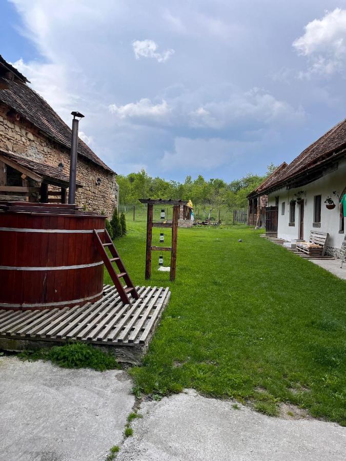 Casa Pe Valea Hartibaciului Guest House Barcut Екстериор снимка